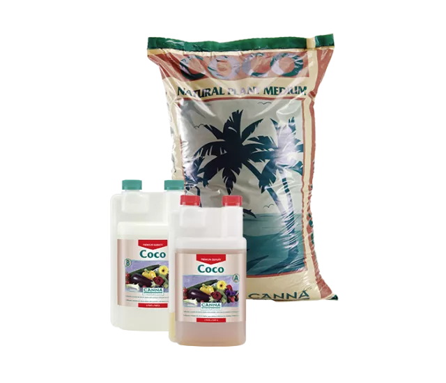 CANNA COCO