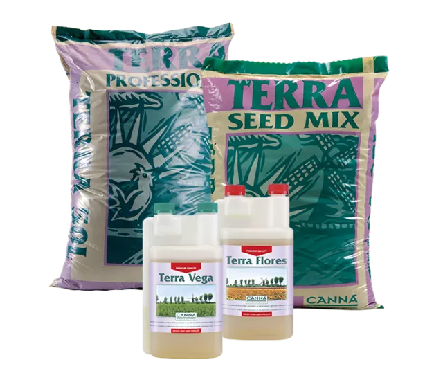 CANNA TERRA