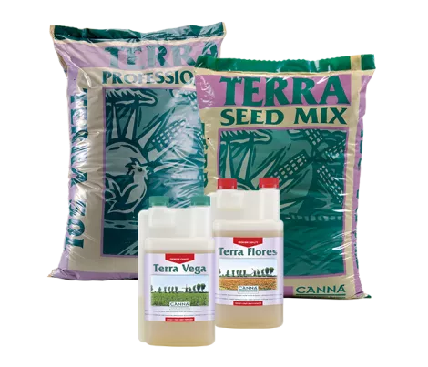CANNA TERRA